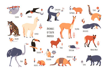 Set of South American animals with floral elements and captions. Simple vector style. Suitable for childrens wallpaper, wrapping paper and textiles - obrazy, fototapety, plakaty