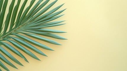 Tropical foliage in top view with a sand-colored background. Lay flat. Simple summer design featuring a palm tree leaf