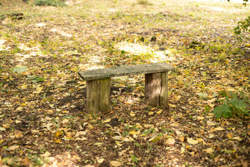 Old wooden bench in the garden