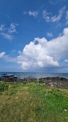 view of the coast of sea in jeju island