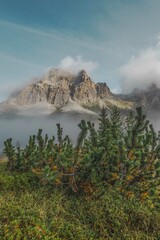 Passeggiata al lago di Lìmedes - Dolomiti