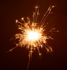 In this striking photography, a bright Bengal sparkler emits a dazzling glow against the dark...
