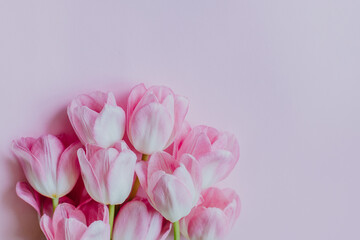 Obraz premium Beautiful bouquet of pink pastel tulip flowers.