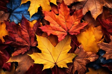 Naklejka na ściany i meble Autumn leaves changing color in fall. Generative AI