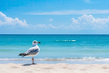 Fototapeta na wymiar Seagull on the beach under blue sky. AI Generated