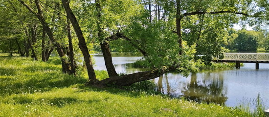 Summer landscape with a flowing river  in the park at the estate of Mikhail Oginsky in Belarus Grodno region. Made on a mobile phone.	
