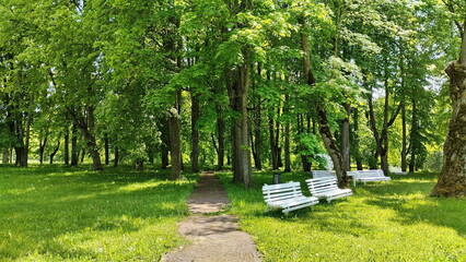 Summer landscape in a Belarusian park at the estate of Mikhail Oginsky with path and benches. Made on a mobile phone.	