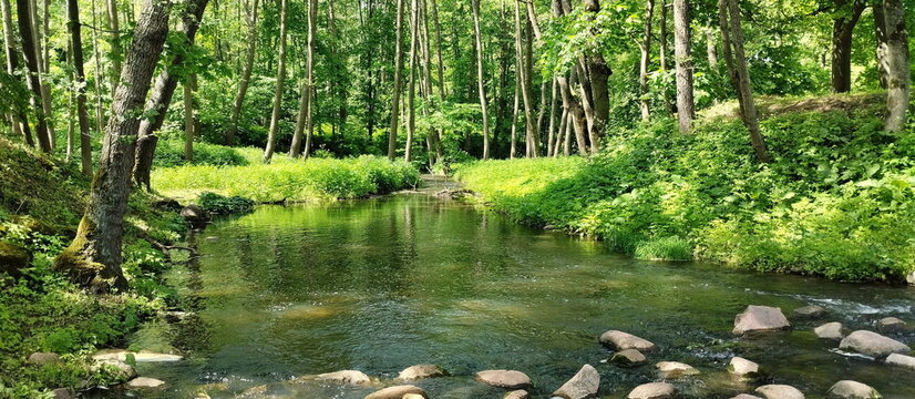 Summer landscape with a flowing river illuminated by sunlight in the park at the estate of Mikhail Oginsky in Belarus. Made on a mobile phone.	