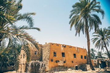 Traditional Egyptian house at Siwa oasis town. Egyption remote village house. - obrazy, fototapety, plakaty