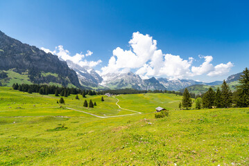 Verdant Alpine Meadow with a Scenic Path in Grindelwald, framed by the majestic Swiss mountain...
