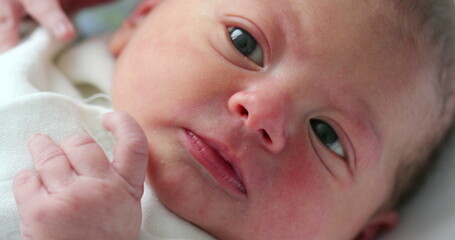 Baby newborn portrait