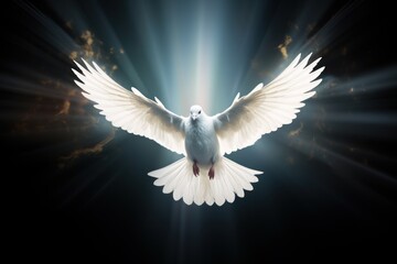 Obraz premium Glowing dove in flight, symbolizing the Holy Spirit, ethereal light.