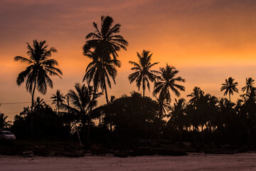 Silhouette of palm trees against orange sunset sky. Beautiful sunrise at Zanzibar, Tanzania
