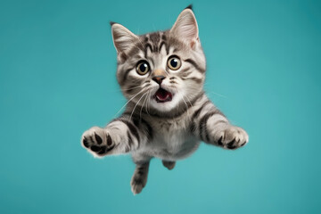 Teal Sky Triumph: Cat's Playful Flight