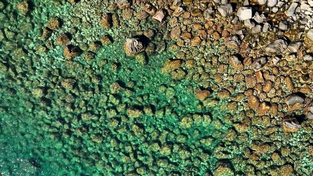 Il mare della Sicilia verde e cristtallino ai piedi dell'Etna.
Veduta aerea degli scogli e del fondo marino della Costa dei Ciclopi. Aci Trezza, Sicilia, Italia.