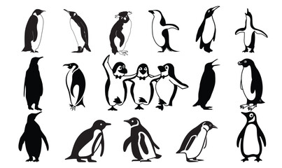 Obraz premium Penguin Vector bundle, Penguin Clipart, Silhouette, Vector, icons, illustration, design.