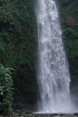 Tropical waterfall in Asia in the wild jungle on the island of Bali