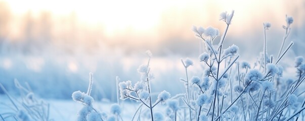 Frozen snowy grass, winter natural abstract background. beautiful winter landscape.