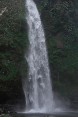 Fototapeta premium Tropical waterfall in Asia in the wild jungle on the island of Bali