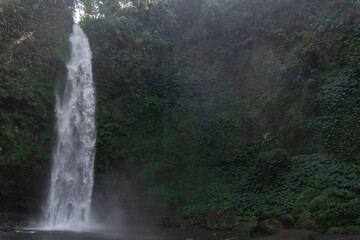 Fototapeta na wymiar Tropical waterfall in Asia in the wild jungle on the island of Bali