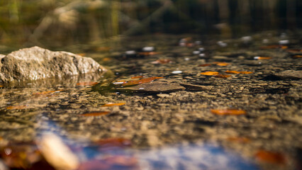 Nahaufnahme von See am Ufer
