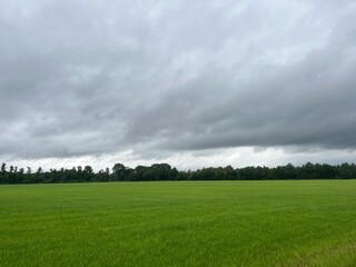 cloudy sky at the green field in the village, summertime