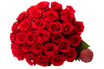 Beautiful roses with cute teddy bear commercial imagery, isolated white background PNG