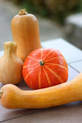 Various picked gourds from the garden. Selective focus.