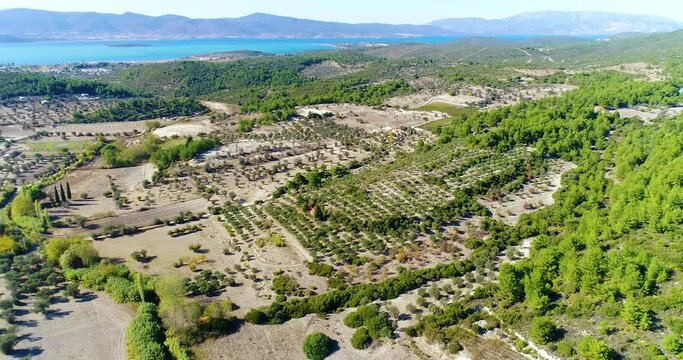 Urla drone shooting, drone view of sea, garden and plots, Urla, Izmir - Turkey
