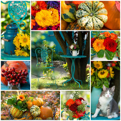 Collage of different flower pictures - 664504187