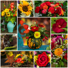 Collage of different flower pictures - 664504521