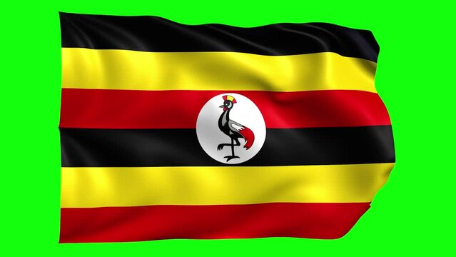 Uganda animated flag on green screen