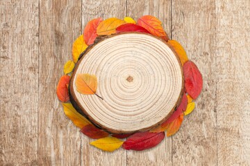 Podium wood saw cut with autumn leaves.