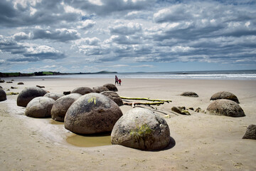 The Moeraki Boulders on New Zealand's west coast are extraordinary round stone formations on the beach. Walkers admire these unique natural wonders.