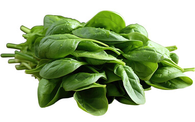 Splendid Image of Bunch of Green Fresh Spinach Isolated on Transparent Background PNG.