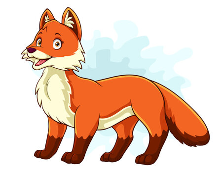 Cartoon fox isolated on white background