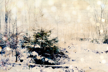 Christmas winter landscape with snow in the forest - xmas greeting card