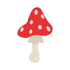 Poisonous toadstool on white background