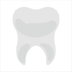 Human tooth on white background