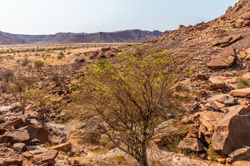 A view past rocky slopes towards the river valley at Twyfelfontein in Namibia during the dry season