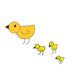chicks