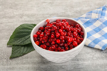 Ripe sweet wild organic cowberry