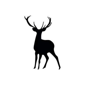 Silhouette of deer on white background