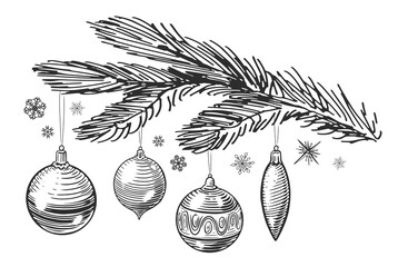 Christmas balls and baubles hanging on a fir tree branch. Holiday decorations sketch vintage illustration - obrazy, fototapety, plakaty