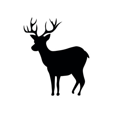 Silhouette of deer on white background