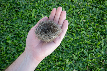 A person's hand holding a bird's nest on a very green grass background.