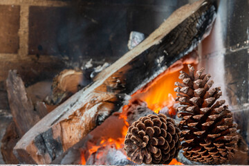 Pine cone on a background of burning firewood.