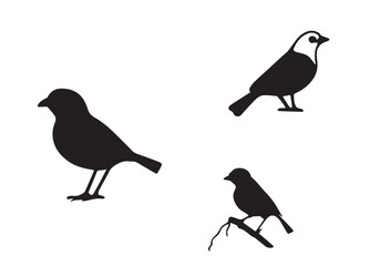 Obraz premium minimal style and beautiful vector icon set design