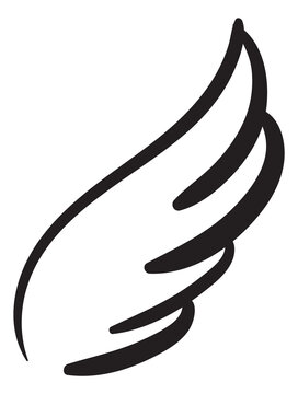 Wing sketch. Bird feathers doodel. Flying symbol