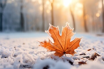 Beautiful winter background with a leaf covered with hoarfrost in nature in the snow - obrazy, fototapety, plakaty